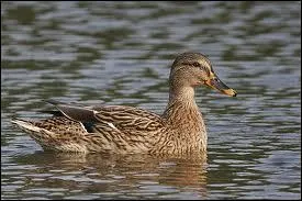  quel film cette image vous fait-elle penser ?