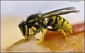  quel film cette image vous fait-elle penser ?