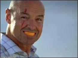 Un des rles phares au cinma pour Terry O'Quinn (John Locke) a t  Le beau-pre  de Joseph Ruben ; mais quel beau-pre est-il ?