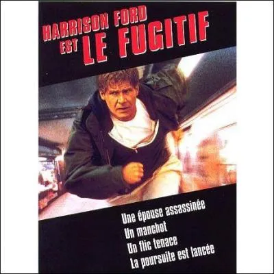 Mais oui c'est bien elle ! Dans   Le Fugitif  d'Andrew Davis elle fait partie d'une unit policire  la recherche des vads ; mais qui est-ce ?