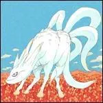 Quel est le nom de ce bijuu ?