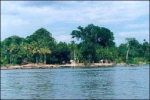 L'Amazone traverse 3 pays dont la Colombie et le Brsil. Le fleuve prend sa source dans les Andes ...