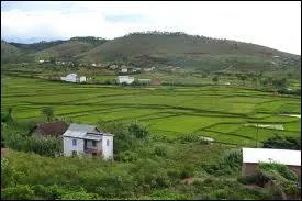 A Madagascar, les langues officielles sont ...