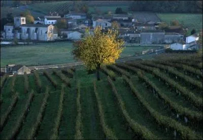 Pour terminer ce quizz, je vous offre un verre de vin du Haut-Poitou ( boire avec modration), mais quelle commune n'en produit pas ?