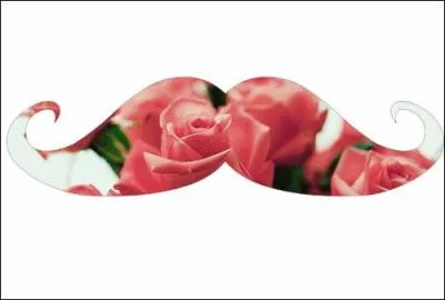 Dans la moustache, il y a :