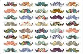 Combien y a-t-il de moustaches ?