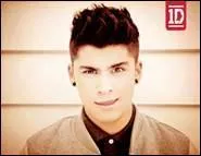 Qui sort avec Zayn Malik ? (en 2013)