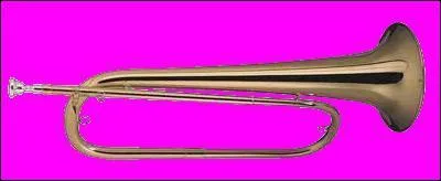 C'est l'un des cuivres les plus simples, ne possédant ni piston ni coulisse. C'est :