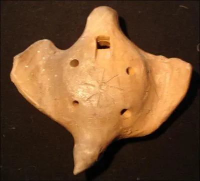 Instrument traditionnel, je peux être fabriqué à partir de l'écorce de fruits, en terre cuite ou encore en porcelaine. Je suis :