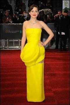 Elle a beau porter les plus grandes marques franaises, et parfois des robes qui sont vraiment belles, elle n'a aucun chic ! La voici dans un terrible modle jaune hurlant, de Dior, avec un genre de boue dgonfle d'un ct, et une ouverture qui pendouille de l'autre ct. Qui est-ce ?