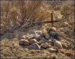 A quel film vous fait penser cette image ?