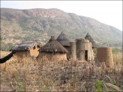 Quelle est la langue officielle du Bnin ?