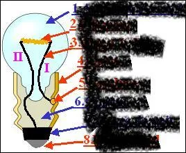Qu'y a-t-il crit sous le numro 6 ?