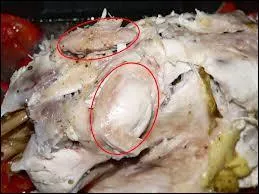 Comment nomme-t-on ces fameux morceaux de poulet ?