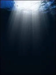 Quelle est la fosse la plus profonde connue  ce jour ?