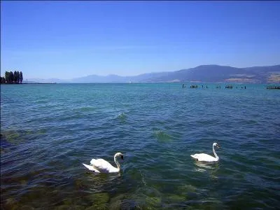 De quel lac s'agit-il ? (indice : une de ses rives borde la rgion du Seeland)