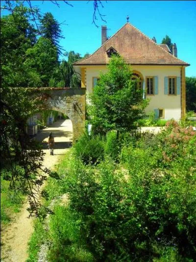 Quel est cet endroit ? (il se situe dans la zone marcageuse naturelle  La Grande Cariaie)