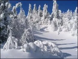 Après ces questions franchouillardes, j'ai envie de faire plaisir à nos cousins du Québec, tabarnak ! ... Qui a chanté : ''Mon PAYS ce n'est pas un PAYS, c'est l´hiver / Mon jardin ce n'est pas un jardin, c'est la plaine / Mon chemin ce n'est pas un chemin, c'est la neige'' ?