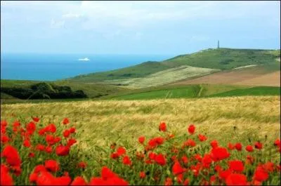 Dirigeons-nous au Nord-Pas de Calais . Les beaux coquelicots rouges et les falaises vont vous faire chavirer !