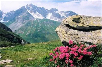 Un massif connu pour ses nombreux et hauts sommets . Si ce paysage vous fait r�ver je peux vous indiquer quel est ce massif .