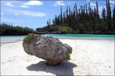 Surnomm�e aussi l'�le la plus proche du Paradis, il s'agit de l'�le ...