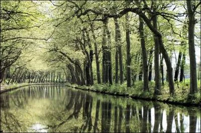 Imaginez-vous vous promenant sur ce canal, sur une barque, en amoureux et que les feuilles des arbres effleurent votre doux visage.