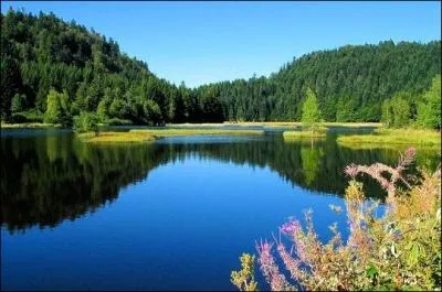 Un des plus beaux lacs de France. Il est situ� dans les Vosges pr�s de la ville de Bresse.