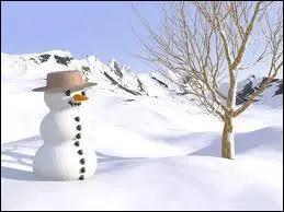 J'observe l'image et je vois : un arbre  gauche du bonhomme de neige ! (En fonction de votre gauche)