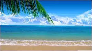 J'observe l'image et je vois : un magnifique paysage, c'est la mer !