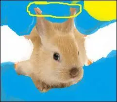 Ce lapin se prend pour un ...