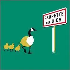 Qui, un jour, n'est pas all dans un trou perdu ! On emploie parfois des lieux imaginaires pour en parler, comme Trifouillis-les-Oies par exemple. Laquelle de ces propositions dsigne un autre trou perdu imaginaire ?