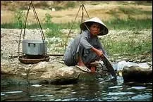 Actuellement, la population du Vietnam avoisine quel nombre ?