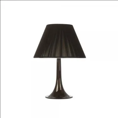 La lampe utilise l'nergie lectrique : C'est donc un _________.