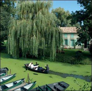 Le Marais Poitevin, surnomm en Deux-Svres  Venise Verte  s'tend dans le sud-ouest du dpartement pour sa partie deux-svrienne. O pourrez-vous embarquer pour partir  la dcouverte de ses exceptionnels paysages ?