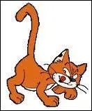 Comment s'appelle ce chat ?