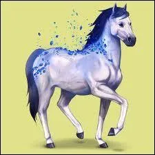 Quelle est la race principale des chevaux d'Equideow ?