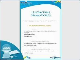  Il ne quittait pas des yeux cette affiche o taient reproduites, en bleu, blanc et rouge, DES ETOILES BRILLANTES. Quelle est la fonction grammaticale du groupe crit en caractres majuscules ?