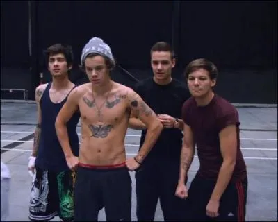 Quel membre de One Direction prononce tout le temps  Vas Happenin  ?