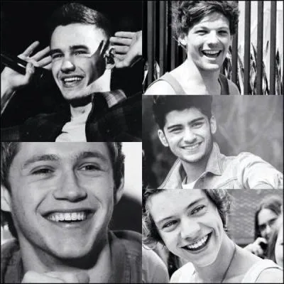 Quel membre de One Direction prononce tout le temps  Vas Happenin  ?