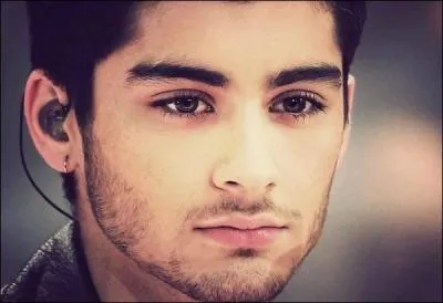 Zayn a-t-il une petite amie ? Si oui, comment s'appelle-t-elle ?