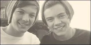 Louis et Harry n'arrtent pas de...