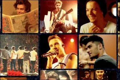 Comment s'appelle leur film ?