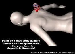 Quelle est cette partie du corps humain ?