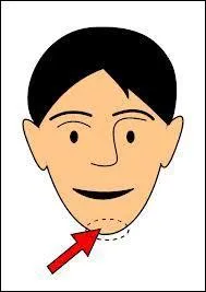 Quelle est cette partie du corps humain ?