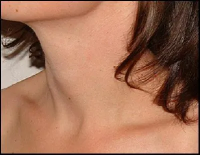 Quelle est cette partie du corps humain ?