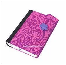 Peut-on acheter le journal intime de Violetta ?