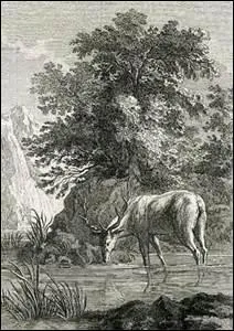 De quelle fable, cette morale tellement vraie de nos jours est-elle tire ?  Nous faisons cas du beau, nous mprisons l'utile, et le beau souvent nous dtruit.  