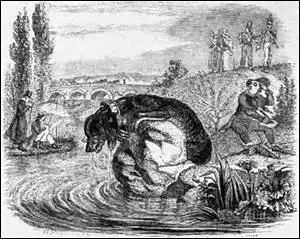 De quelle fable est tire cette morale ?  Chacun se trompe ici-bas, on voit courir aprs l'ombre tant de fous, qu'on n'en sait pas la plupart du temps le nombre.  