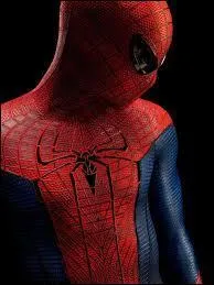 Les super-hros portent souvent masques et cagoules. Voici la cagoule rouge de Spiderman, lequel porte dans la vie le nom de... ?