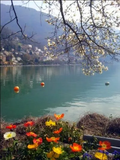 Un clbre festival a lieu chaque anne dans cette localit bordant le lac Lman. Lequel ?